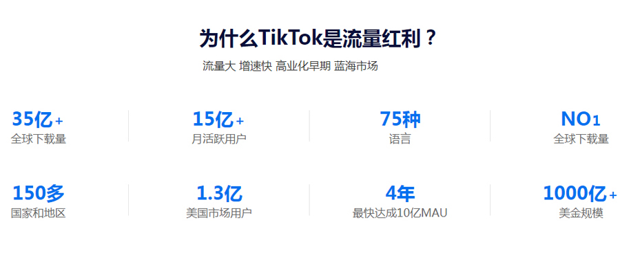 廊坊Tiktok推广  第3张
